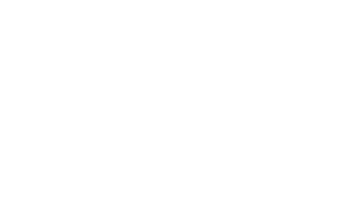 Aleš Fodor